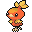 {torchic}